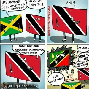 Meet your Posher, Shinnel